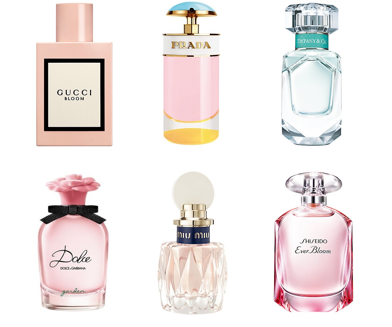 best dolce and gabbana perfume for her 2018
