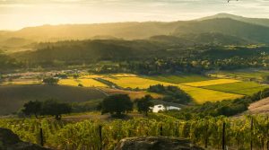 4 Unique Things To Do While Visiting Sonoma County - My Fashion Life